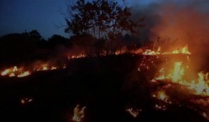 La déforestation illégale dans la forêt Amazonienne entraîne des milliers d'incendies