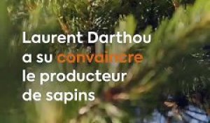 Pour Noël, il rachète "l'arbre mort" de Bordeaux