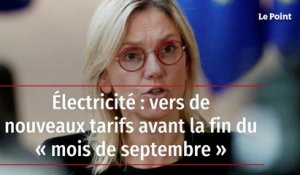 Électricité : vers de nouveaux tarifs avant la fin du « mois de septembre »
