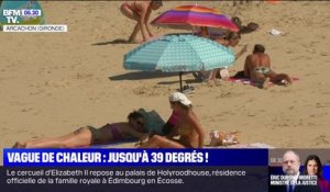 Vague de chaleur: jusqu'à 39°C en Gironde, ce lundi