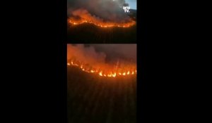 Les images aériennes de l'incendie à Saumos, en Gironde, qui a ravagé 1300 hectares de végétation