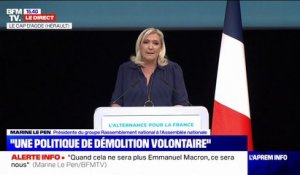Marine Le Pen: "Rien ne peut résister à la vague qui s'est levée“