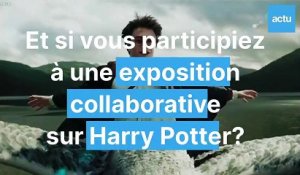 Et si vous participiez à une exposition collaborative sur Harry Potter à Lons-le-Saunier
