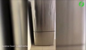 Ce qu'il découvre dans son frigo fait froid dans le dos