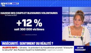 Insécurité: les chiffres de la délinquance en France