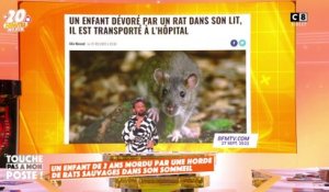 "Ils n'ont plus peur de nous" : Un bébé de 2 ans mordu par des rats sauvages dans son sommeil