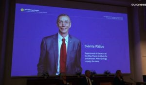 Le Nobel de médecine 2022 attribué au paléogénéticien suédois Svante Pääbo
