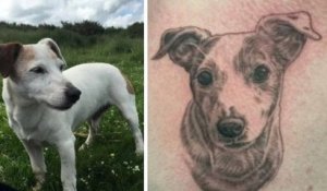 Après le décès du son chien, un homme se fait tatouer avec les cendres de l'animal pour lui rendre hommage