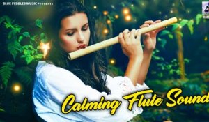 Calming Flute Music ~ Relaxing Music for Peace of Mind and Bright Life