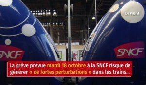 Grève à la SNCF : « de fortes perturbations » attendues dans les trains