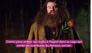 Harry Potter : Robbie Coltrane (Hagrid) souffrait en silence depuis des années… Les causes de son décès révélées