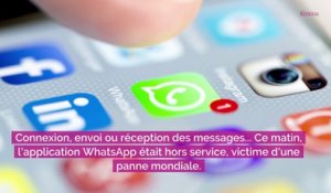 Panne mondiale chez WhatsApp : de nombreux pays dont la France n'ont plus accès à l'application