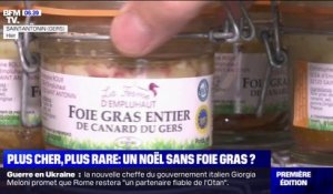Plus cher et plus rare à cause de la grippe aviaire, y'aura-t-il du foie gras à Noël?