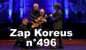 Zap Koreus n°496