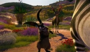 Khumba Bande-annonce (TR)