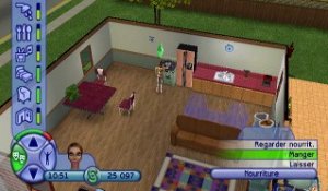 Les Sims 2 online multiplayer - ps2