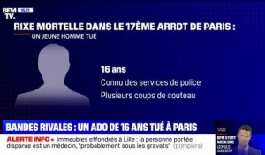 Adolescent poignardé à Paris: une enquête a été ouverte pour "homicide volontaire en bande organisée"