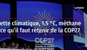 Dette climatique, 1,5 °C, méthane : ce qu’il faut retenir de la COP27