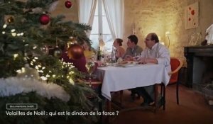 [BA] Volailles de Noël qui est le dindon de la farce - 29/11/2022