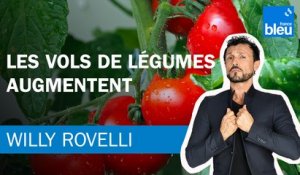 Les vols de légumes augmentent - Le billet de Willy Rovelli