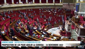 Séance publique à l'Assemblée nationale - Corrida : proposition de loi pour l'abolir