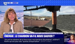 Réouverture de la centrale à charbon de Saint-Avold: l'ancienne dirigeante d’Areva dénonce "une politique énergétique qui bug"