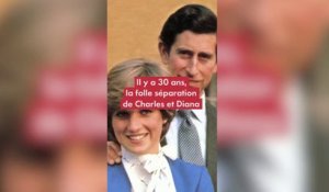 Il y a 30 ans, la folle séparation de Charles et Diana