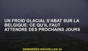 Un froid glacial tombe sur la Belgique: à quoi s'attendre des prochains jours