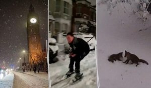 Carambolages, trafic aérien perturbé, ski dans les rues... La neige surprend le Royaume-Uni