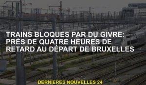 Trains bloqués par le gel: près de quatre heures derrière le départ de Bruxelles