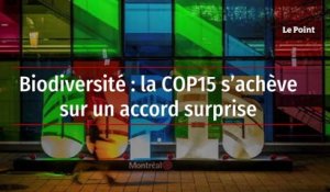 Biodiversité : la COP15 s’achève sur un accord surprise