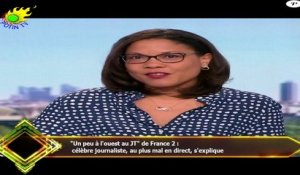 "Un peu à l'ouest au JT" de France 2 :  célèbre journaliste, au plus mal en direct, s'explique