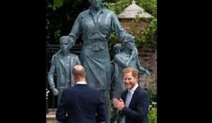 William et Harry se sourient enfin en dévoilant la statue de la princesse Diana