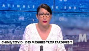 Sabrina Medjebeur : «Le Covid a souligné la faille des institutions européennes»