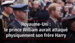 Royaume-Uni : le prince William aurait attaqué physiquement son frère Harry