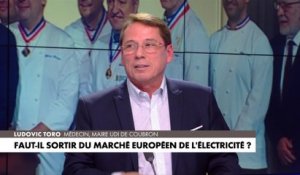 Ludovic Toro : «La seule solution, c'est de descendre le prix de l'électricité»