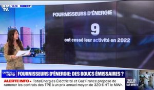 Quels sont les fournisseurs d'énergie qui réalisent le plus de bénéfices?