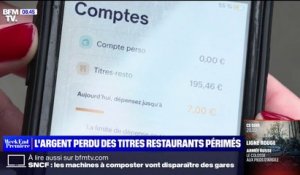 Titres restaurant: les Français perdent chaque année 700 millions d'euros
