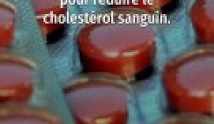Cholestérol : la levure rouge de riz est-elle efficace ?