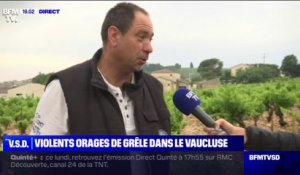 Violents orages dans le Vaucluse: les vignerons inquiets pour leurs récoltes