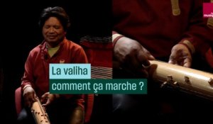 La valiha, comment ça marche ? Par Justin Vali