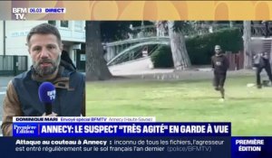 Attaque au couteau à Annecy: le suspect "très agité" en garde à vue