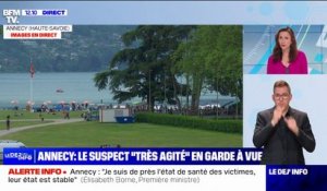 Annecy: la garde à vue de l'auteur de l'attaque est prolongée