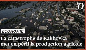 Ukraine: la catastrophe du barrage de Kakhovka met en péril la production agricole