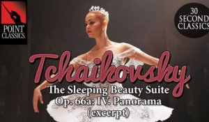 Tchaikovsky: The Sleeping Beauty Suite, Op. 66a: IV. Panorama (excerpt)