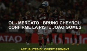 Ol - Mercato: Bruno Cheyrou confirme la piste João Gomes