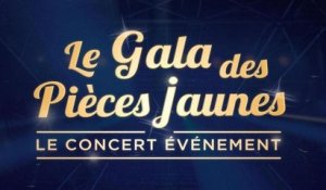 Le gala des Pièces jaunes : le concert événement
