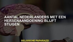 Aantal Nederlanders met een hersenstoornis blijft stijgen