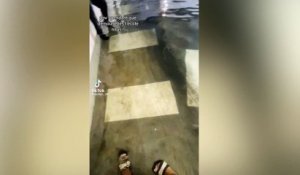 Inondations : Ils nagent dans leur parking souterrain
