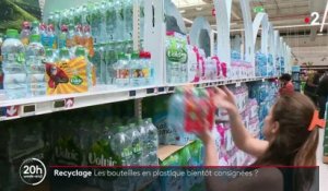 Le gouvernement relance aujourd'hui un débat sur la mise en place éventuelle de consignes pour les bouteilles plastique en France - Regardez